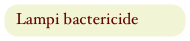 Lampi bactericide
